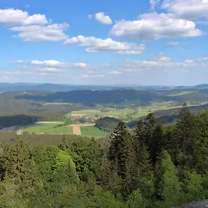 Irene Konstandin , Bischofsmais Deutschland
